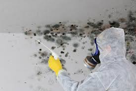 Best Mold Remediation for Rental Properties  in USA